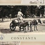 5 ianuarie 1895 - Problema apei potabile și sacagii