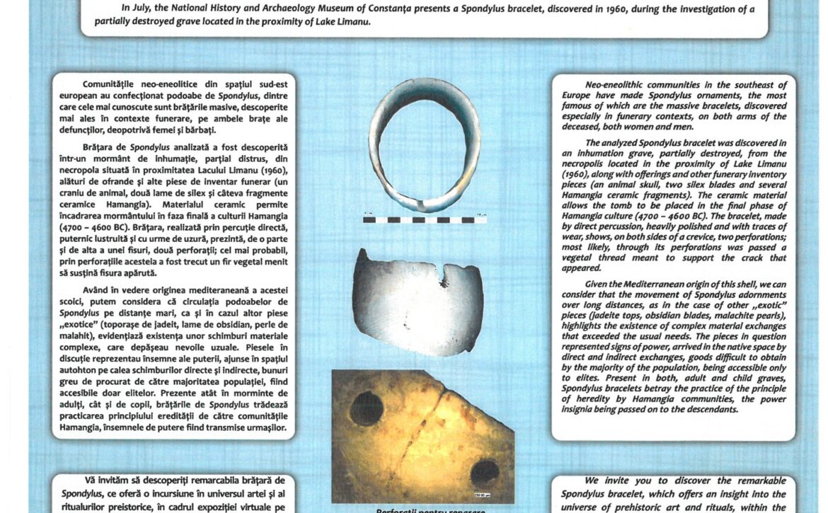 EXPONATUL LUNII IULIE 2025