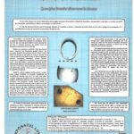 Exponatul lunii iulie 2025 - Brățară de Spondylus descoperită la Limanu