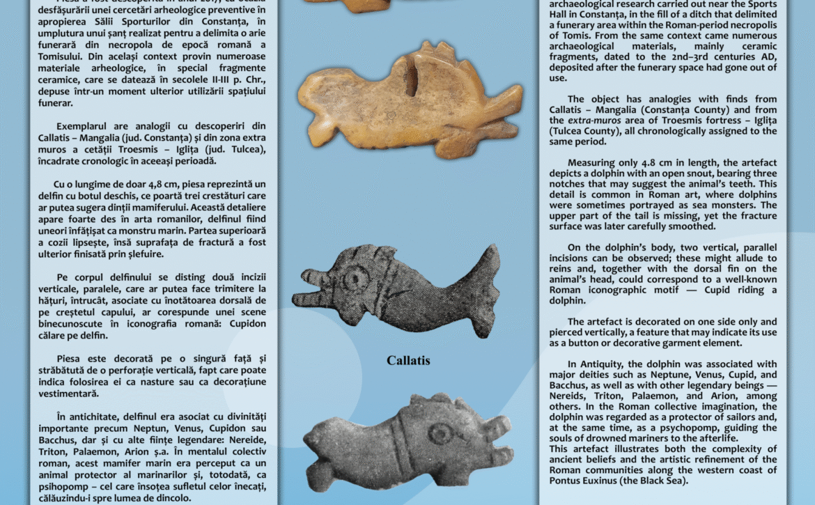 Exponatul lunii octombrie 2025