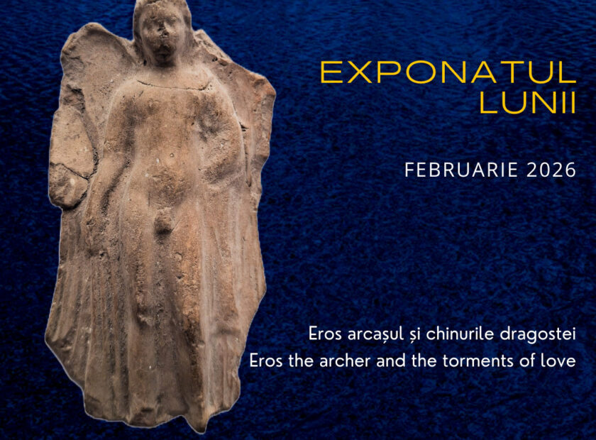 EXPONATUL LUNII FEBRUARIE 1