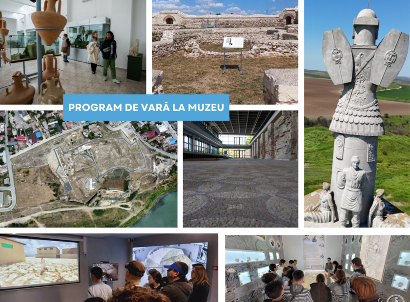 program de vara la muzeu colaj