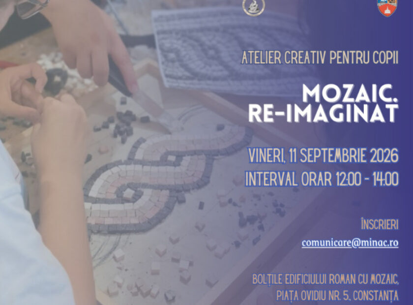 MOZAIC RE IMAGINAT AFIS