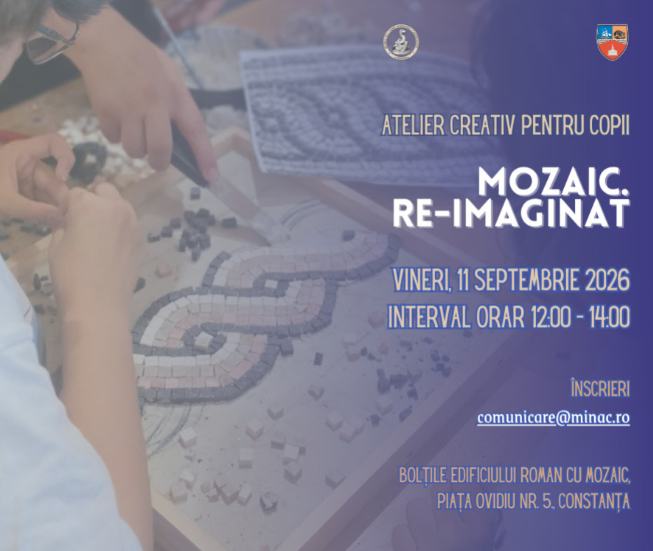 MOZAIC RE IMAGINAT AFIS