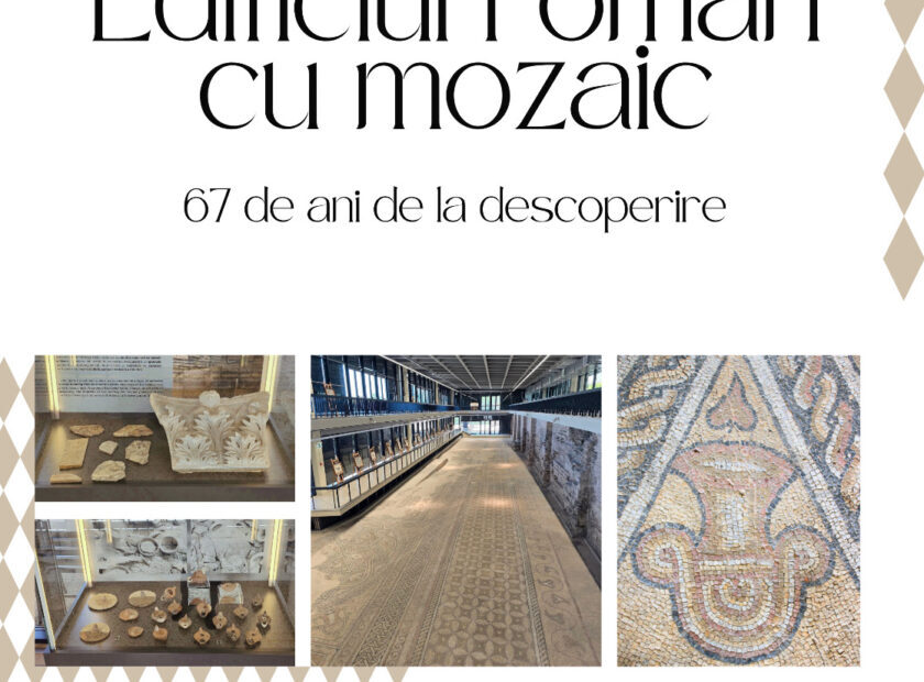 afis intrare gratuita 1