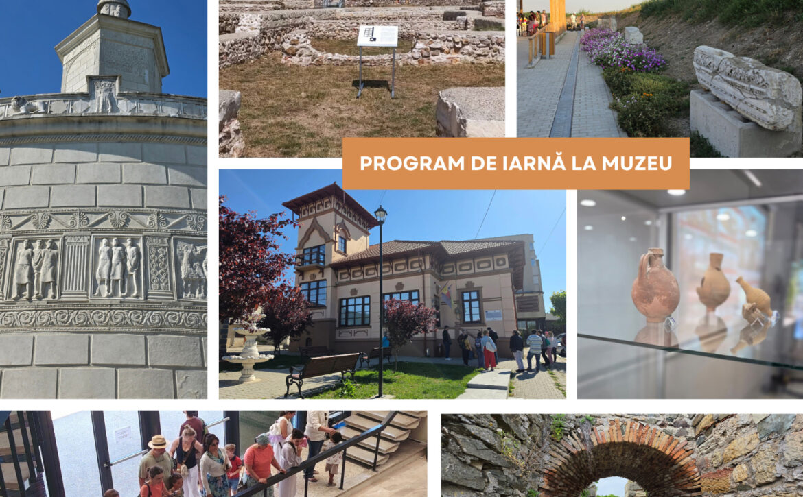 AFIS MINAC PROGRAM DE IARNA